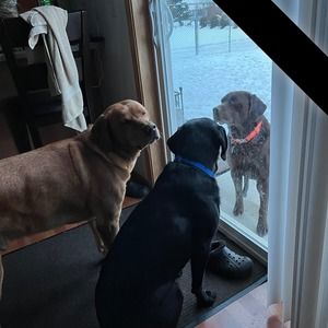 Meet your Posher, Browning benelli barrett